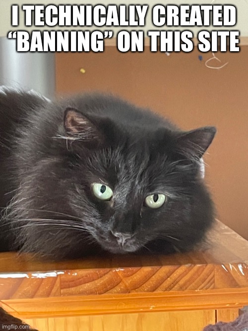 I TECHNICALLY CREATED “BANNING” ON THIS SITE | made w/ Imgflip meme maker