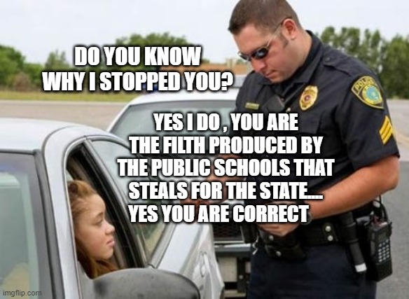 TRAFFIC COP | DO YOU KNOW WHY I STOPPED YOU? YES I DO , YOU ARE THE FILTH PRODUCED BY THE PUBLIC SCHOOLS THAT STEALS FOR THE STATE.... YES YOU ARE CORRECT | image tagged in traffic cop | made w/ Imgflip meme maker