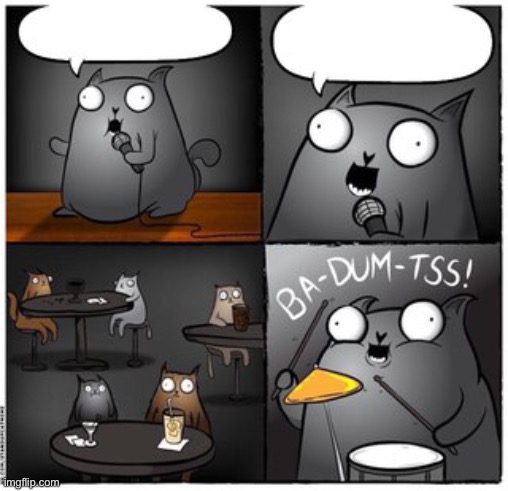 Ba-dum-tss cat | image tagged in ba-dum-tss cat | made w/ Imgflip meme maker