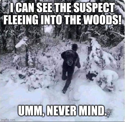 Running man dog | I CAN SEE THE SUSPECT FLEEING INTO THE WOODS! UMM, NEVER MIND. | image tagged in optical illusion,running,man,dog | made w/ Imgflip meme maker
