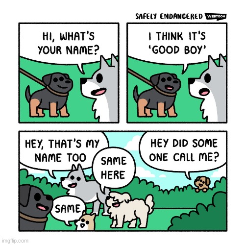 that one female dog: | image tagged in comics/cartoons,dog,good boy | made w/ Imgflip meme maker