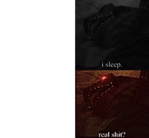 Sleeping Zill Blank Meme Template