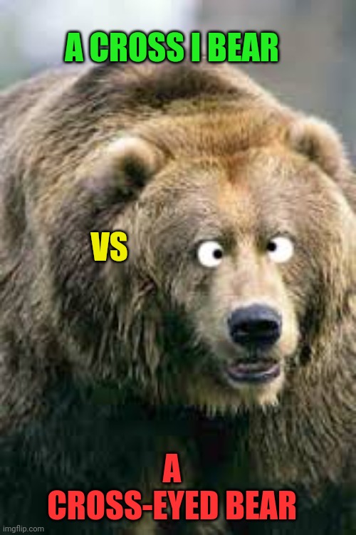 Enunciation is critical | A CROSS I BEAR; VS; A CROSS-EYED BEAR | image tagged in bear,cross eyes | made w/ Imgflip meme maker