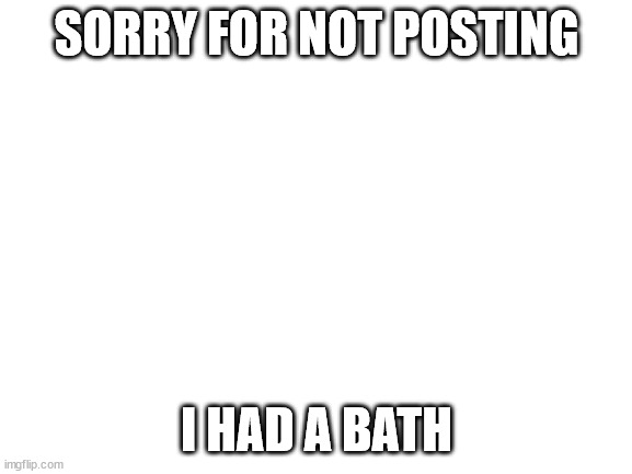 Blank White Template | SORRY FOR NOT POSTING; I HAD A BATH | image tagged in blank white template | made w/ Imgflip meme maker
