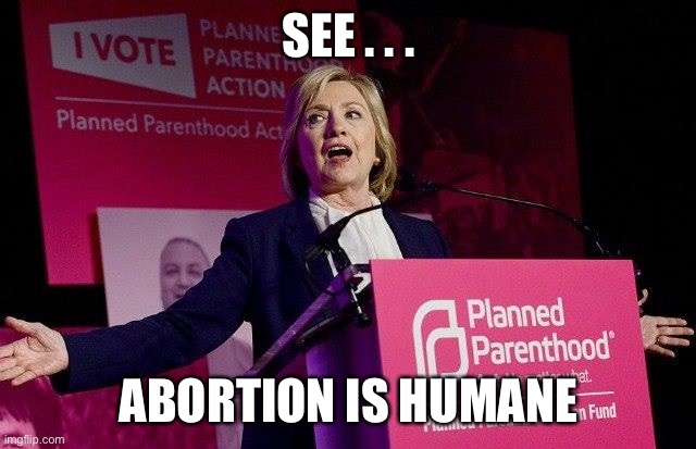 Pro Choice | SEE . . . ABORTION IS HUMANE | image tagged in pro choice | made w/ Imgflip meme maker