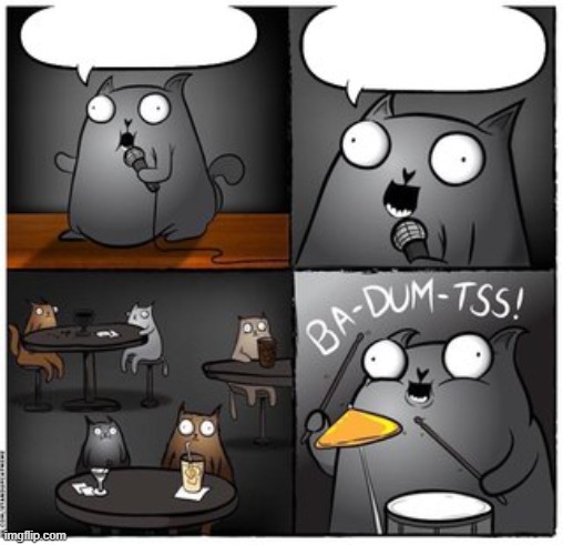 BA DUM TSS | image tagged in ba-dum-tss catto | made w/ Imgflip meme maker