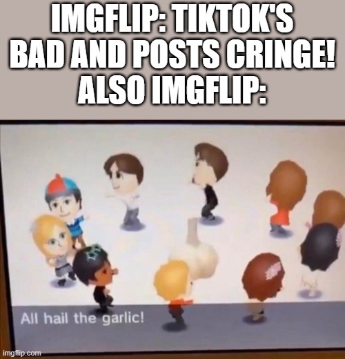 ALL HAIL THE GARLIC (sorry not sorry) | IMGFLIP: TIKTOK'S BAD AND POSTS CRINGE!
ALSO IMGFLIP: | image tagged in all hail the garlic | made w/ Imgflip meme maker