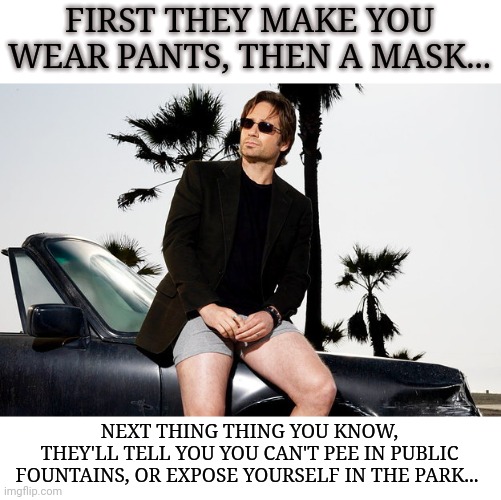 Mandatory Pants | FIRST THEY MAKE YOU WEAR PANTS, THEN A MASK... NEXT THING THING YOU KNOW,
THEY'LL TELL YOU YOU CAN'T PEE IN PUBLIC FOUNTAINS, OR EXPOSE YOURSELF IN THE PARK... | image tagged in hank moody no pants,mask,common sense | made w/ Imgflip meme maker