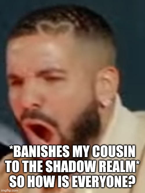 Drake pog | *BANISHES MY COUSIN TO THE SHADOW REALM*
SO HOW IS EVERYONE? | image tagged in drake pog | made w/ Imgflip meme maker