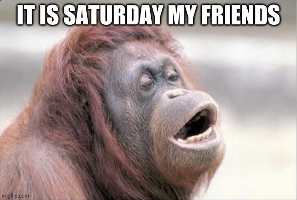 Monkey OOH | IT IS SATURDAY MY FRIENDS | image tagged in memes,monkey ooh | made w/ Imgflip meme maker