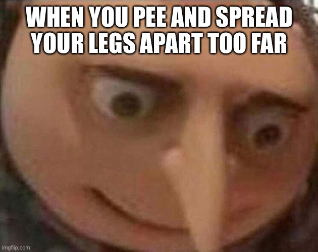 Only girls will understand | WHEN YOU PEE AND SPREAD YOUR LEGS APART TOO FAR | image tagged in gru meme | made w/ Imgflip meme maker