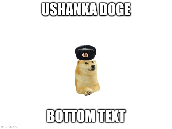 ushamka Domge | USHANKA DOGE; BOTTOM TEXT | image tagged in blank white template,ushanka,doge | made w/ Imgflip meme maker