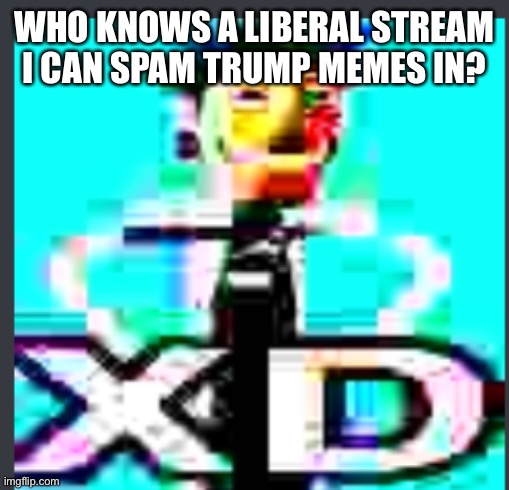 Big boner | WHO KNOWS A LIBERAL STREAM I CAN SPAM TRUMP MEMES IN? | image tagged in big boner vibes | made w/ Imgflip meme maker