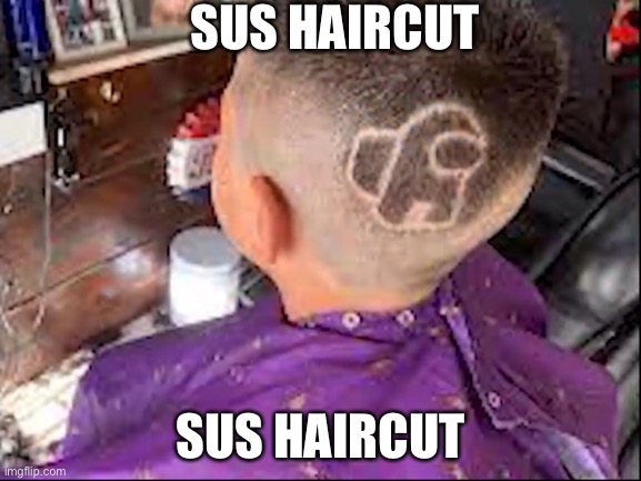 Sus | SUS HAIRCUT; SUS HAIRCUT | image tagged in sus | made w/ Imgflip meme maker