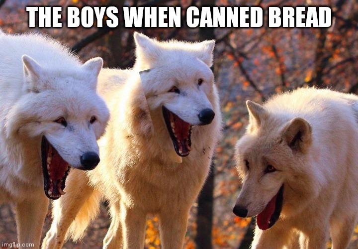 Three Wolfs | THE BOYS WHEN CANNED BREAD | image tagged in three wolfs | made w/ Imgflip meme maker