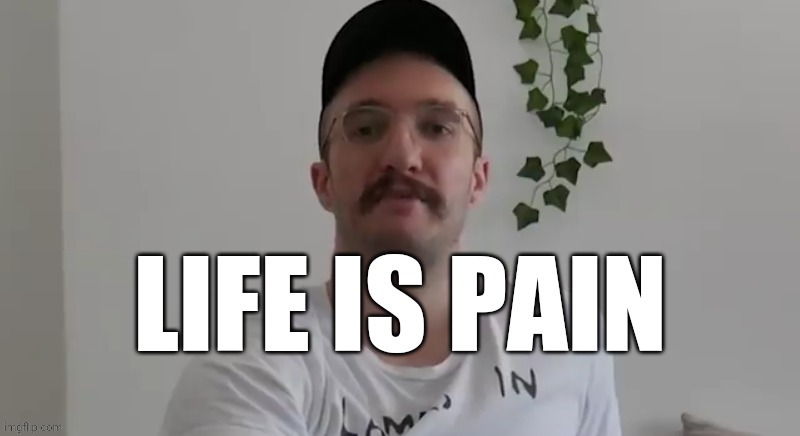 Life is pain | image tagged in life is pain | made w/ Imgflip meme maker