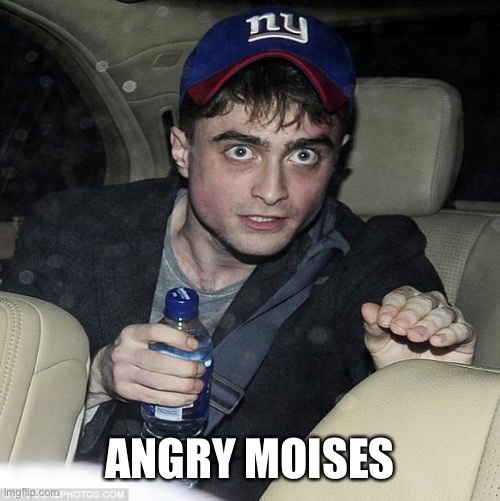 harry potter crazy | ANGRY NOISES | image tagged in harry potter crazy | made w/ Imgflip meme maker