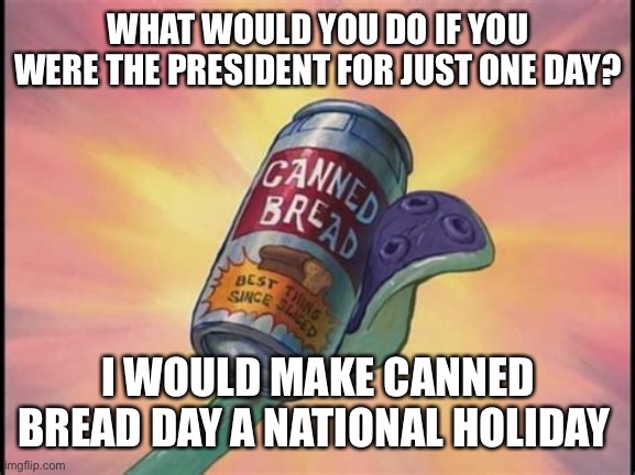 The greatest sb joke ever | WHAT WOULD YOU DO IF YOU WERE THE PRESIDENT FOR JUST ONE DAY? I WOULD MAKE CANNED BREAD DAY A NATIONAL HOLIDAY | image tagged in canned bread | made w/ Imgflip meme maker