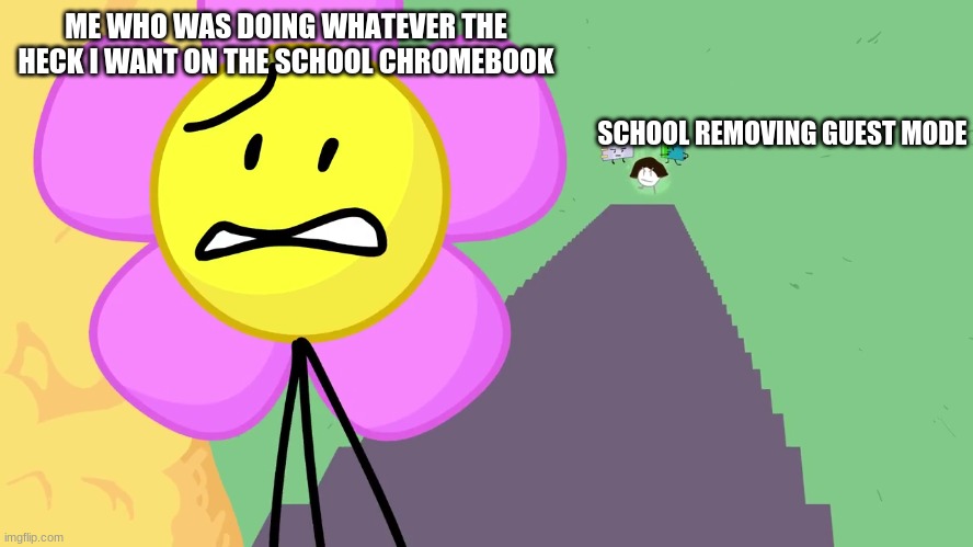 NOOOOOOOOOOOOOOOOOOOO | ME WHO WAS DOING WHATEVER THE HECK I WANT ON THE SCHOOL CHROMEBOOK; SCHOOL REMOVING GUEST MODE | made w/ Imgflip meme maker