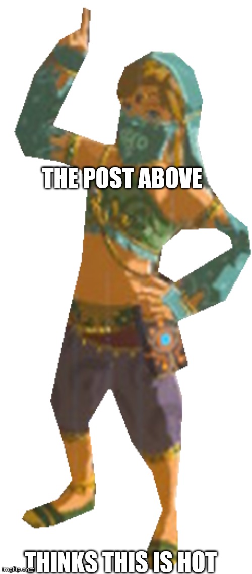 THE POST ABOVE; THINKS THIS IS HOT | made w/ Imgflip meme maker