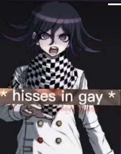 hisses in gay Blank Meme Template