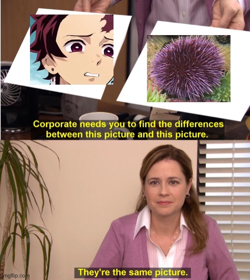 They're The Same Picture | image tagged in memes,they're the same picture | made w/ Imgflip meme maker