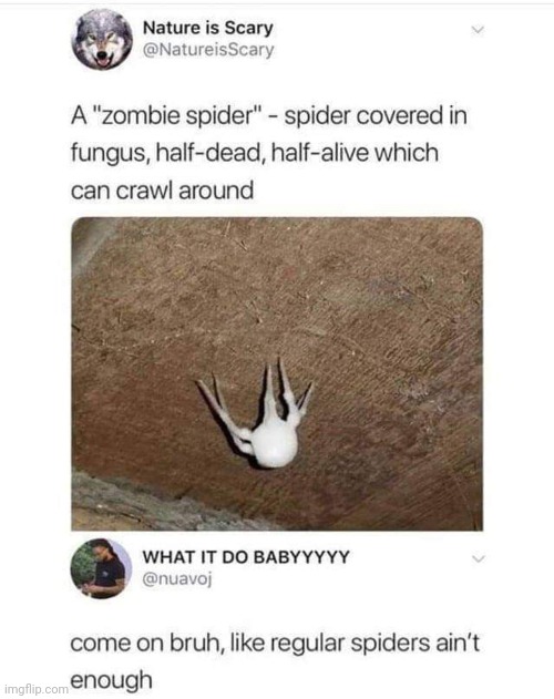 that looks like the head crab from half-life | made w/ Imgflip meme maker