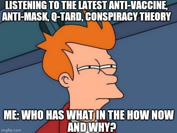 WHO HAS WHAT IN THE HOW NOW | LISTENING TO THE LATEST ANTI-VACCINE, ANTI-MASK, Q-TARD, CONSPIRACY THEORY; ME: WHO HAS WHAT IN THE HOW NOW
   AND WHY? | image tagged in memes,futurama fry | made w/ Imgflip meme maker