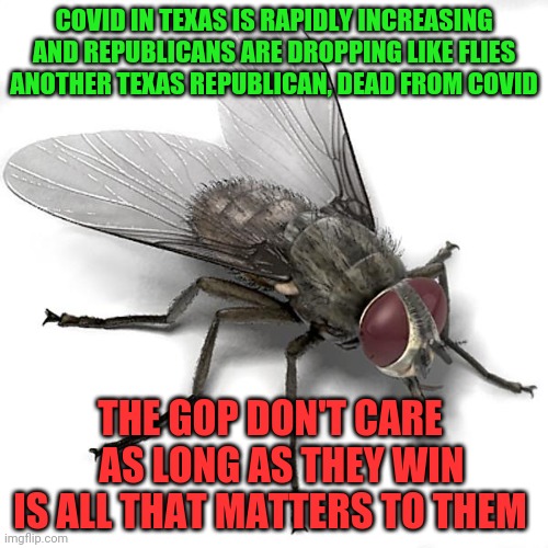 Scumbag House Fly | COVID IN TEXAS IS RAPIDLY INCREASING AND REPUBLICANS ARE DROPPING LIKE FLIES ANOTHER TEXAS REPUBLICAN, DEAD FROM COVID; THE GOP DON'T CARE    AS LONG AS THEY WIN IS ALL THAT MATTERS TO THEM | image tagged in scumbag house fly | made w/ Imgflip meme maker