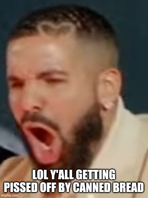 Drake pog | LOL Y'ALL GETTING PISSED OFF BY CANNED BREAD | image tagged in drake pog | made w/ Imgflip meme maker