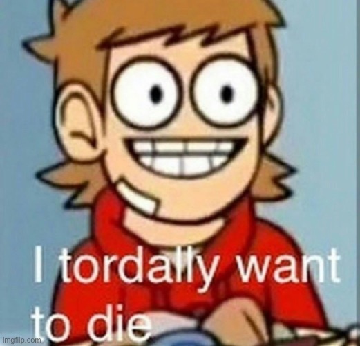 I tordally want to die | image tagged in i tordally want to die | made w/ Imgflip meme maker
