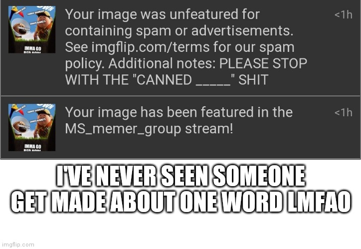 I'VE NEVER SEEN SOMEONE GET MADE ABOUT ONE WORD LMFAO | image tagged in blank white template | made w/ Imgflip meme maker