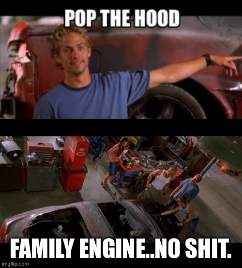 Family’s engine, no shit! | FAMILY ENGINE..NO SHIT. | image tagged in family,fast and furious,2jz,no shit,tuna posting | made w/ Imgflip meme maker