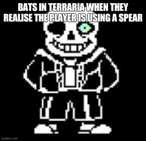 E | BATS IN TERRARIA WHEN THEY REALISE THE PLAYER IS USING A SPEAR | image tagged in sans bad time | made w/ Imgflip meme maker
