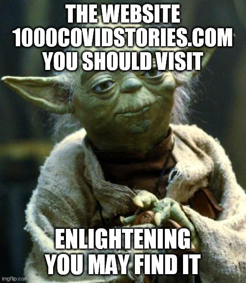 Star Wars Yoda Meme | THE WEBSITE
1000COVIDSTORIES.COM
YOU SHOULD VISIT ENLIGHTENING
YOU MAY FIND IT | image tagged in memes,star wars yoda | made w/ Imgflip meme maker