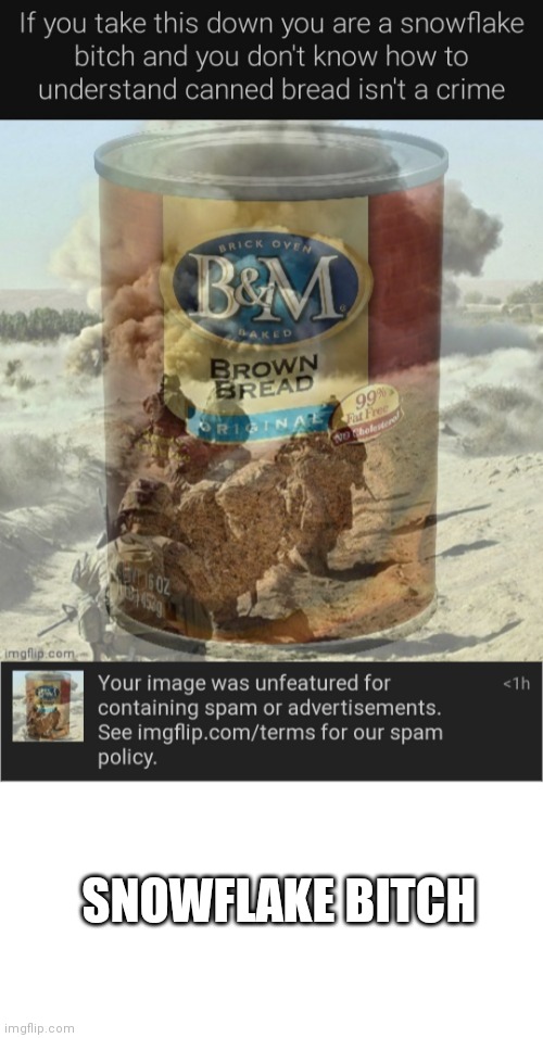 SNOWFLAKE BITCH | image tagged in blank white template | made w/ Imgflip meme maker