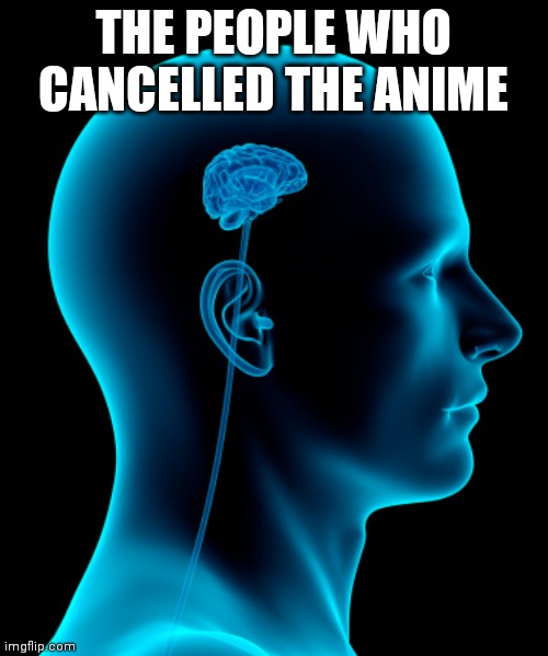 small brain | THE PEOPLE WHO CANCELLED THE ANIME | image tagged in small brain | made w/ Imgflip meme maker