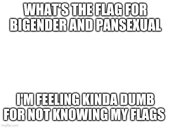 Don't read my account description | WHAT'S THE FLAG FOR BIGENDER AND PANSEXUAL; I'M FEELING KINDA DUMB FOR NOT KNOWING MY FLAGS | image tagged in blank white template | made w/ Imgflip meme maker