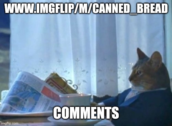 Www.imgflip/m/canned_bread | WWW.IMGFLIP/M/CANNED_BREAD; COMMENTS | image tagged in memes,i should buy a boat cat | made w/ Imgflip meme maker