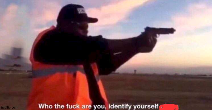 who the fuck are you identify yourself nigga | image tagged in who the fuck are you identify yourself nigga | made w/ Imgflip meme maker
