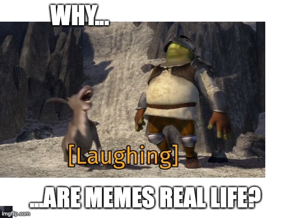 WHY... ...ARE MEMES REAL LIFE? | made w/ Imgflip meme maker