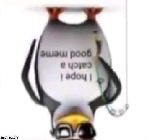 yee yee | image tagged in i hope i catch a good meme | made w/ Imgflip meme maker
