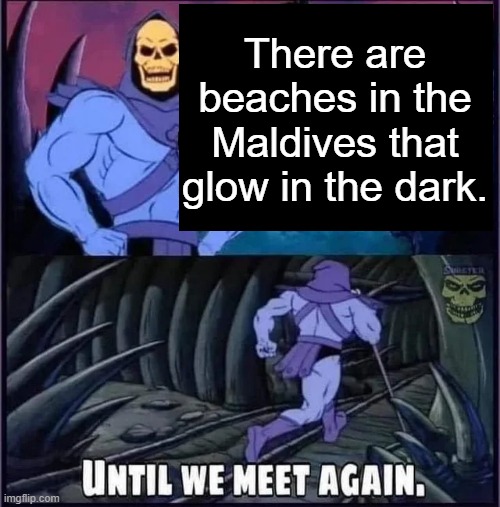 Until we meet again. | There are beaches in the Maldives that glow in the dark. | image tagged in until we meet again | made w/ Imgflip meme maker