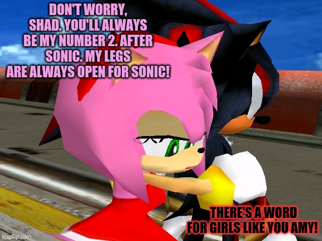 Evil Amy! | DON'T WORRY, SHAD. YOU'LL ALWAYS BE MY NUMBER 2. AFTER SONIC. MY LEGS ARE ALWAYS OPEN FOR SONIC! THERE'S A WORD FOR GIRLS LIKE YOU AMY! | image tagged in sexy amy rose,amy rose,shadow the hedgehog,cheating | made w/ Imgflip meme maker