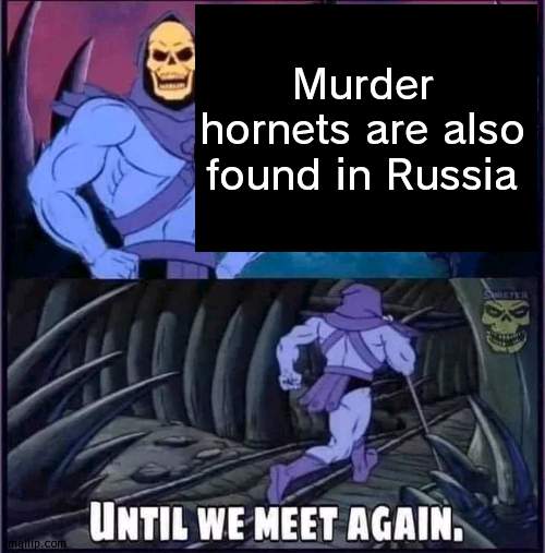 Until we meet again. | Murder hornets are also found in Russia | image tagged in until we meet again | made w/ Imgflip meme maker