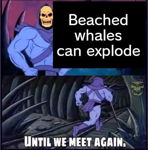 Until we meet again. | Beached whales can explode | image tagged in until we meet again | made w/ Imgflip meme maker