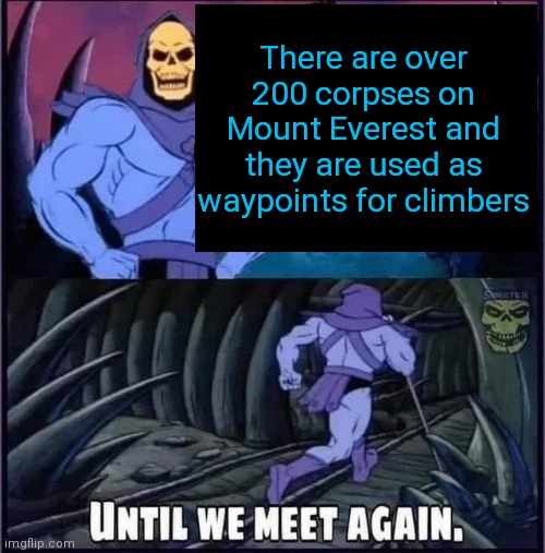 Until we meet again | There are over 200 corpses on Mount Everest and they are used as waypoints for climbers | image tagged in until we meet again | made w/ Imgflip meme maker