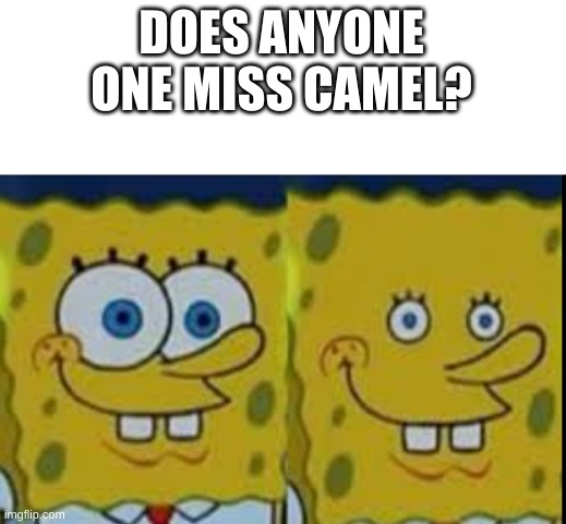 Spongebob realizing | DOES ANYONE ONE MISS CAMEL? | image tagged in spongebob realizing | made w/ Imgflip meme maker