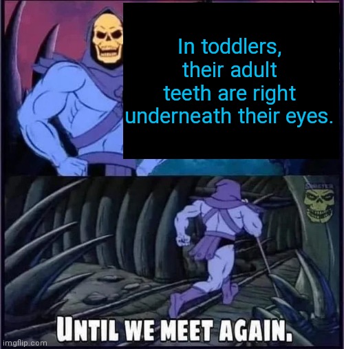 Until we meet again | In toddlers, their adult teeth are right underneath their eyes. | image tagged in until we meet again | made w/ Imgflip meme maker