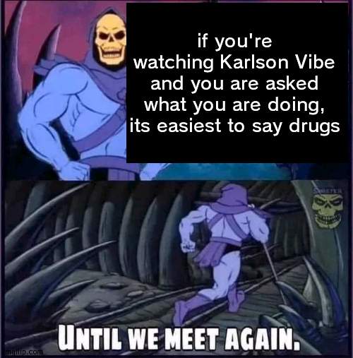 Until we meet again. | if you're watching Karlson Vibe and you are asked what you are doing, its easiest to say drugs | image tagged in until we meet again | made w/ Imgflip meme maker